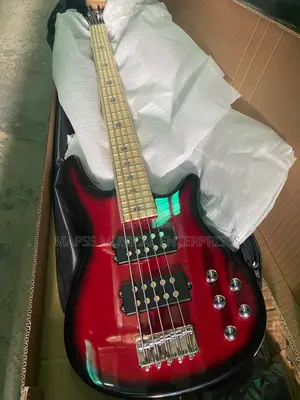 Alvarez Five String Active Bass Guitar