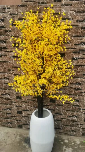 Quality Flower Plants With Quality Pot