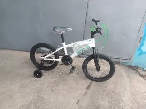 Raptor Children Bicycle