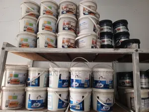 Silk Paint 4l Interior and Exterior Finishing