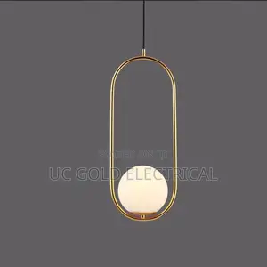 Modern Led Pendant Light Iron Golden Metal Cage Hanging