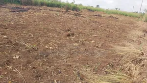 100x200 Land for Sale Sale