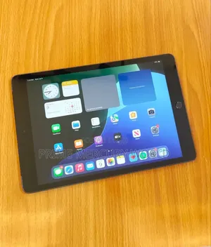 Apple iPad 9.7 64 GB Gray