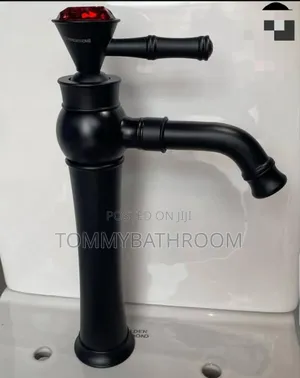 Black Design Long Basin Mixer