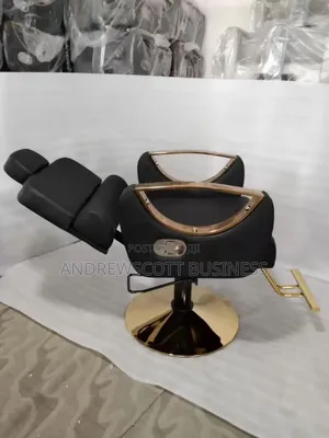 Salon Chair With Headrest