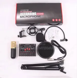 Professional Recording Stand Microphone