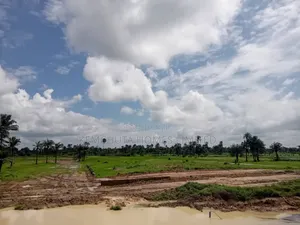 Best Luxurious Estate in Asaba