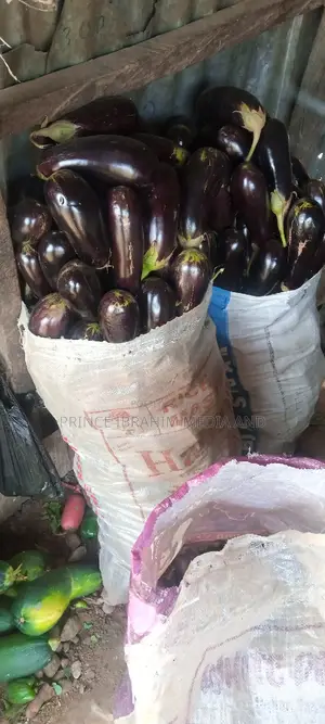 Fresh Eggplant