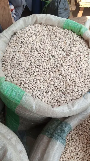 Iron Beans