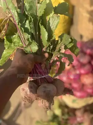 Fresh Beetroot