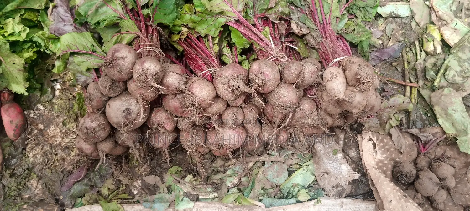 Fresh Beetroot