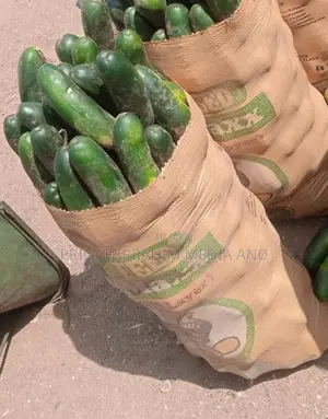 Fresh Cucumber