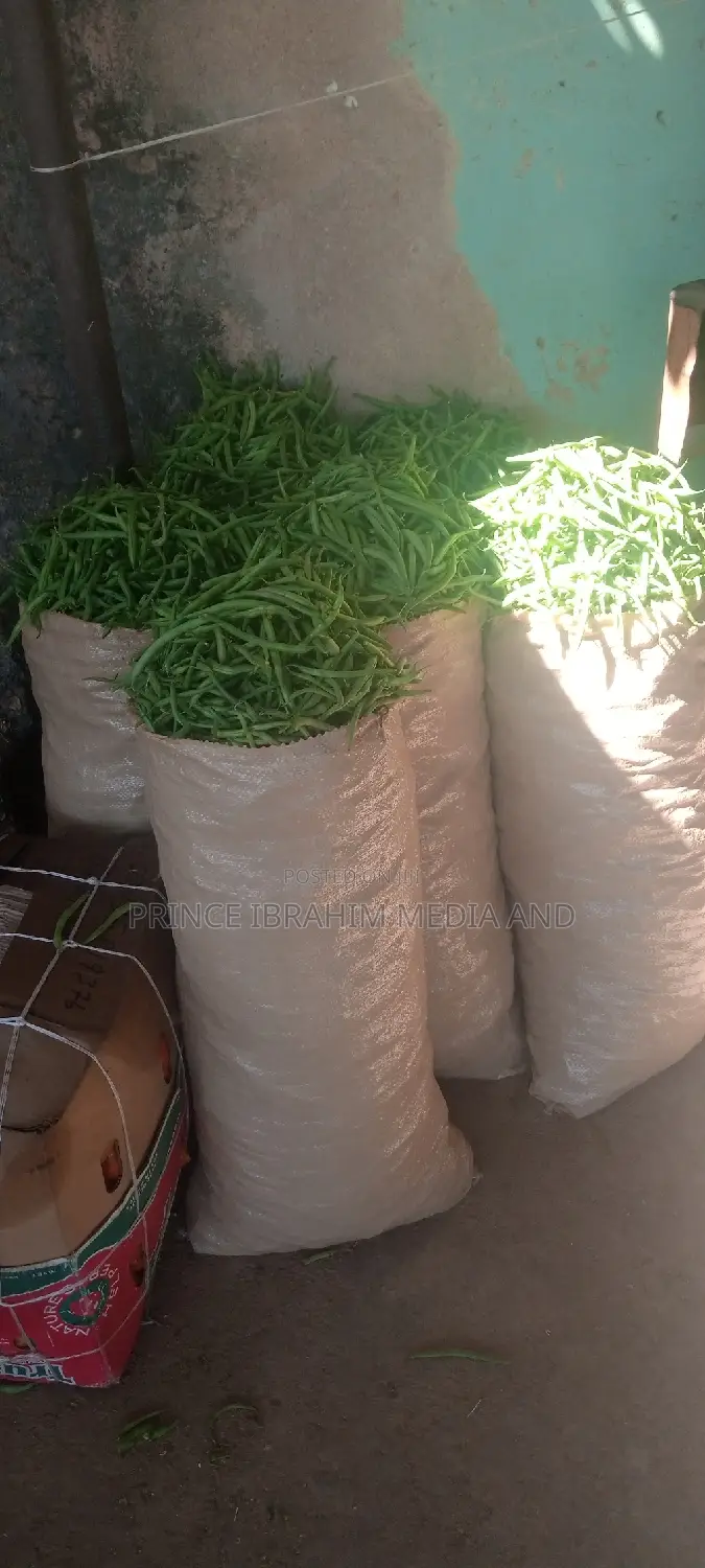 Green Beans