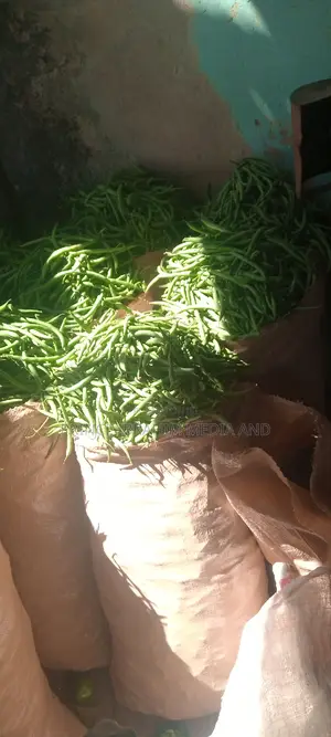 Green Beans