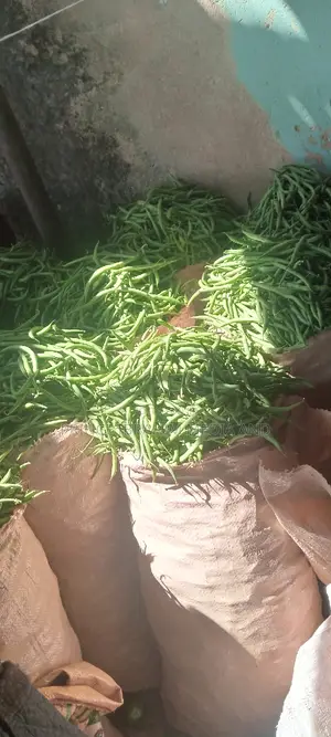 Green Beans