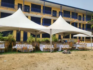 Imported White 20/20 Canopy