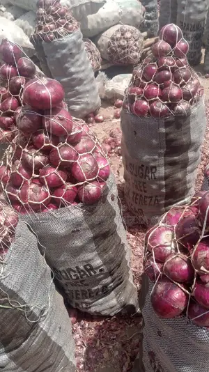 Onion Sugar Bag