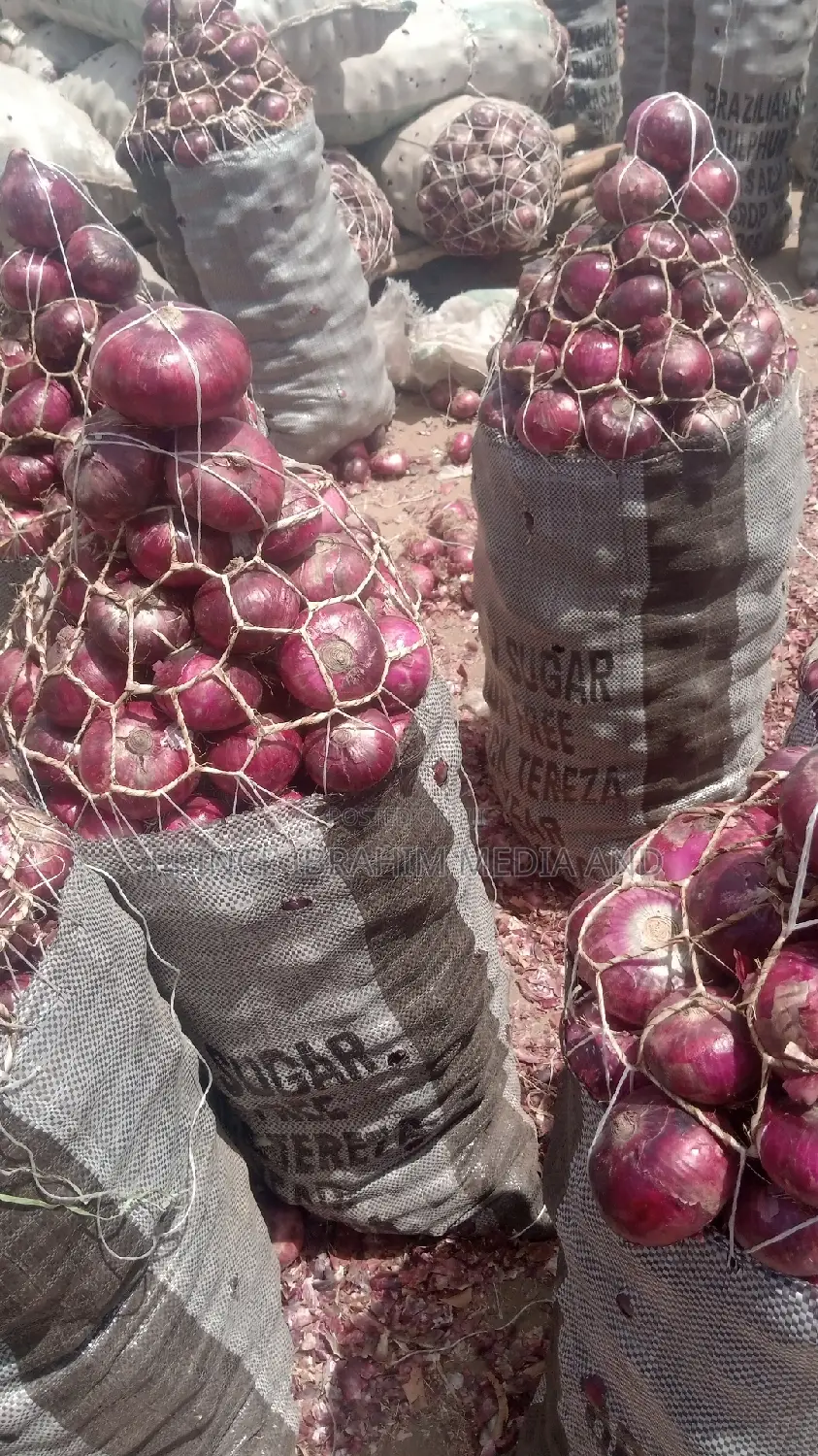 Onion Sugar Bag