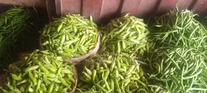 Fresh Peas