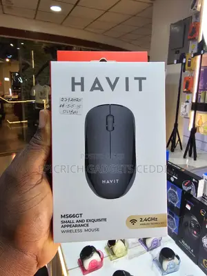 Havit Wireless Mouse.