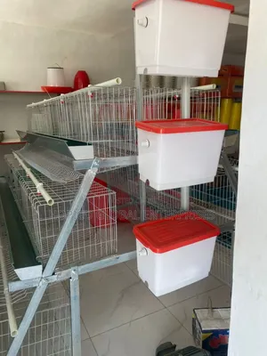 96 Birds Capacity Cold Deep Cage