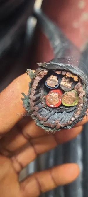25mmx4 Nigerchin Amored Cable