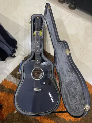 Vangoa
12
Strings
Semi Acoustic Guitar
Black Vge12-2 With Free Case