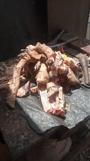 Cow Head, Leg, and Tail