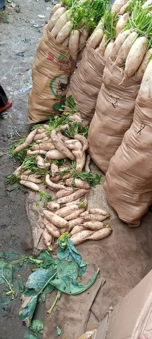 Fresh Radish