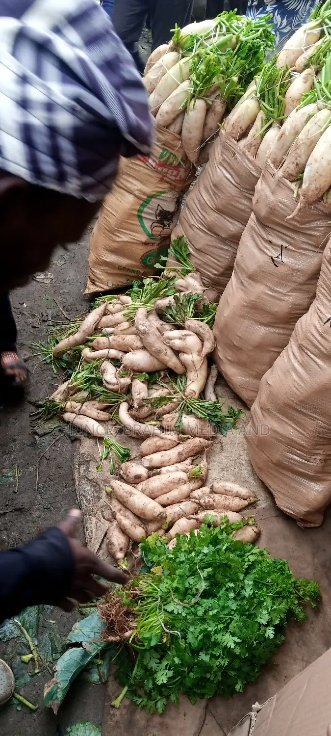 Fresh Radish