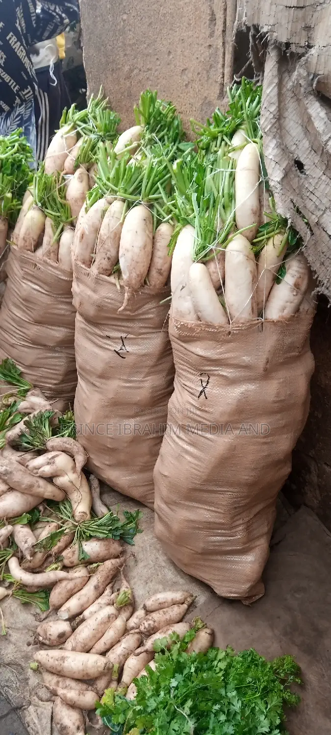Fresh Radish