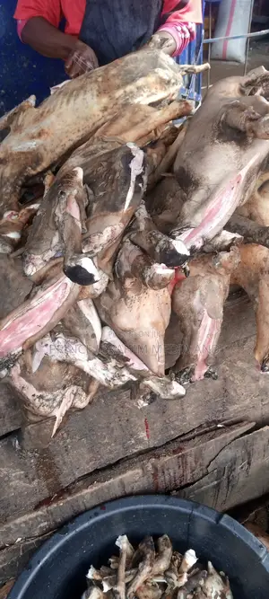 Fresh Goat Meat