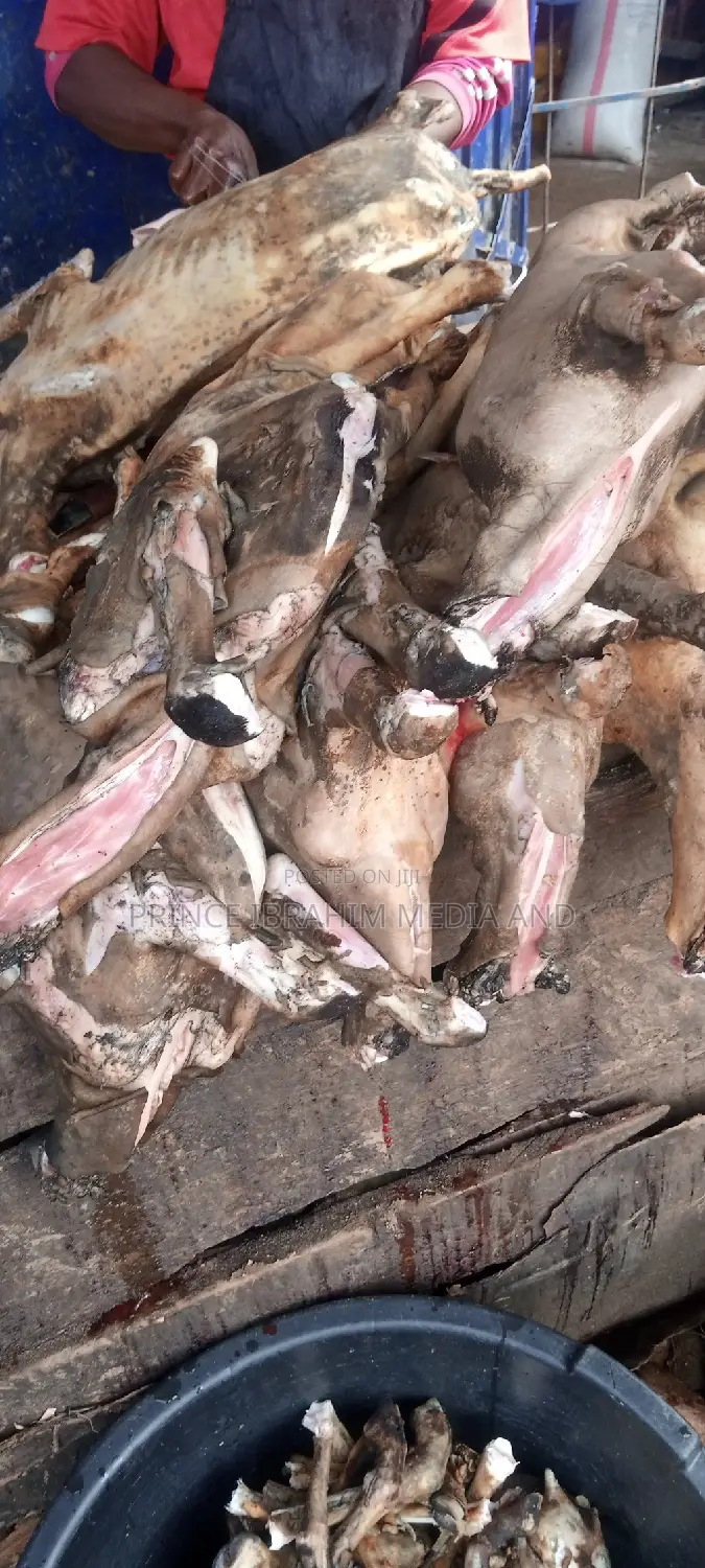 Fresh Goat Meat