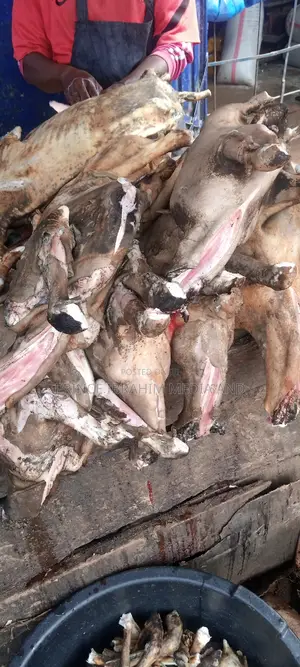 Fresh Goat Meat
