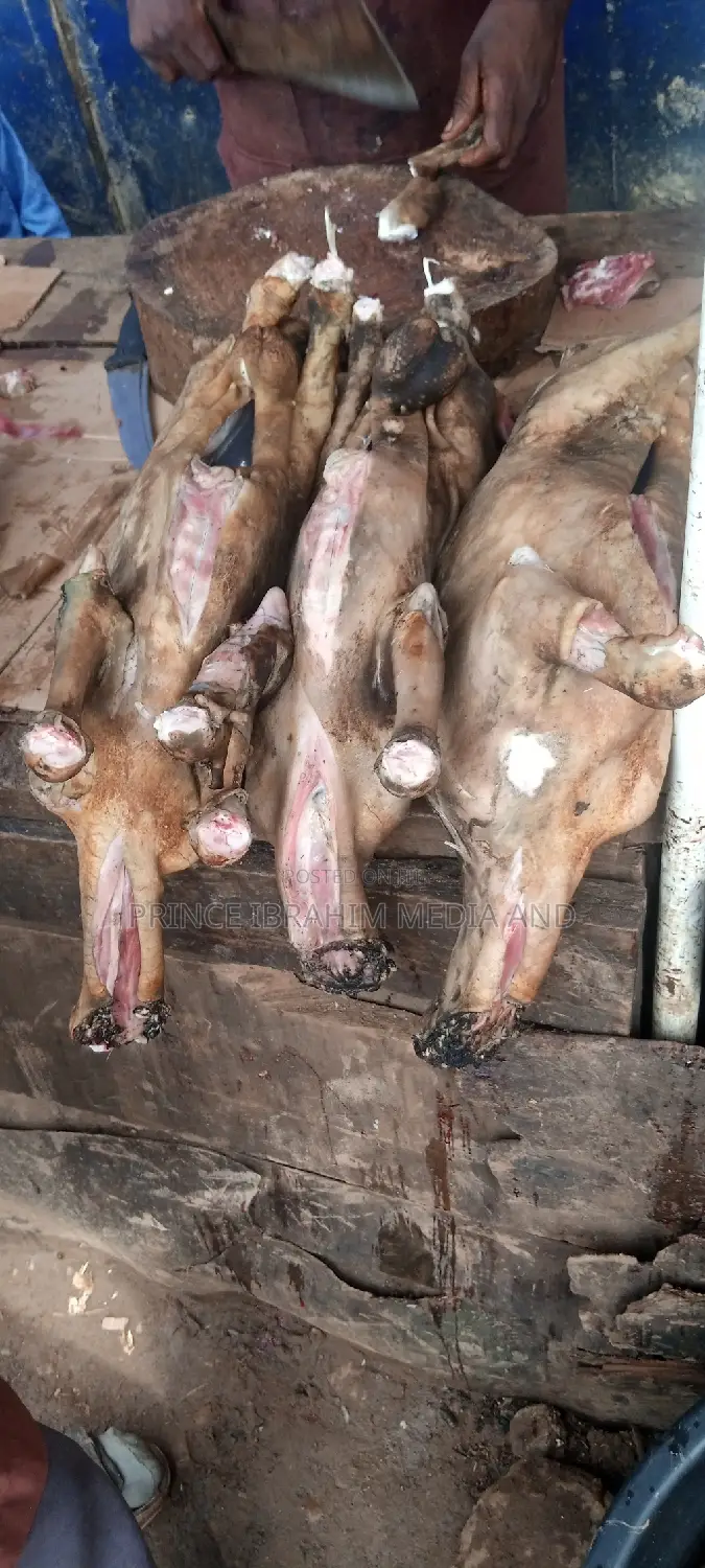 Fresh Goat Meat