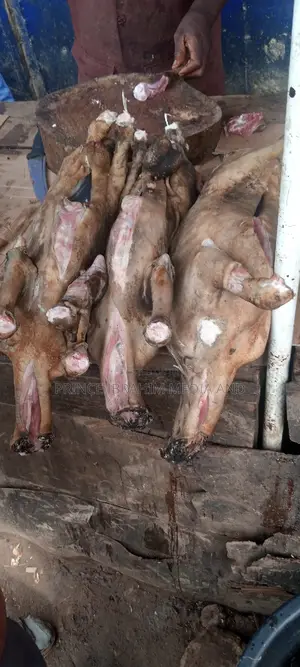 Fresh Goat Meat