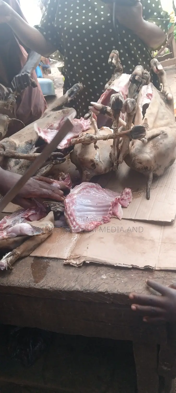 Fresh Goat Meat