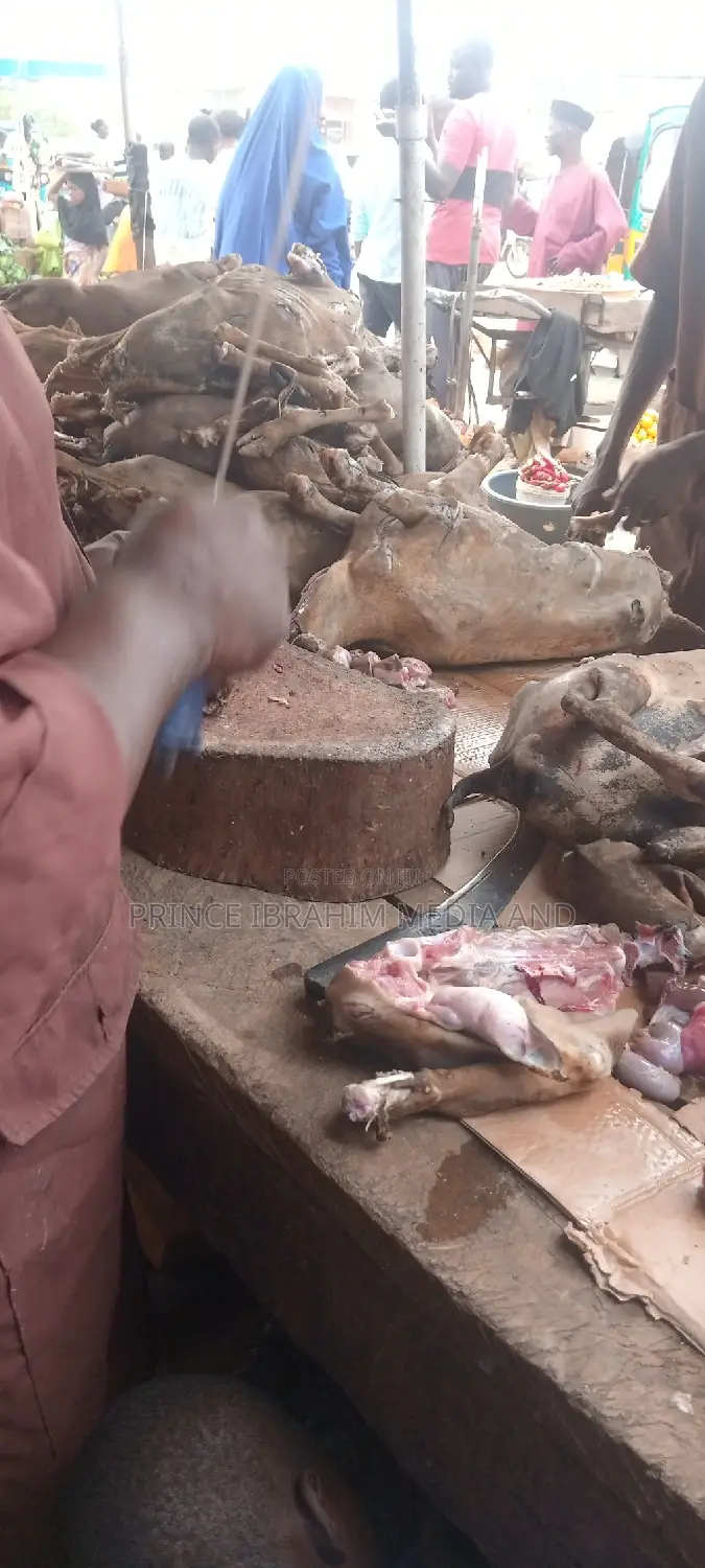 Fresh Goat Meat
