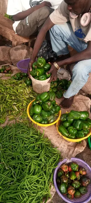 Fresh Green Pepper