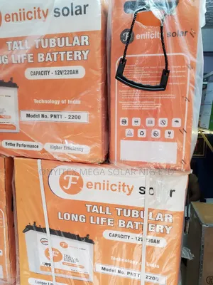 Feniicity Tall Tubular Long Life Battery 220ah