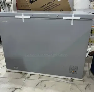Hisense 297 Litres Chest Freezer Fc390sh