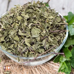 Dried Mint Leaves - 100g