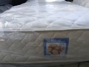 6/6 U.S.A Perfect Sleeper for Your Back Pain