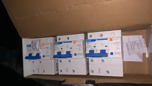 100amp 2pole Rcbo Chint Breaker