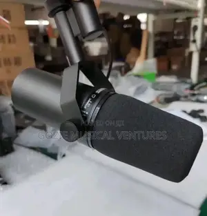 Shure Sm7b Condenser Microphone.