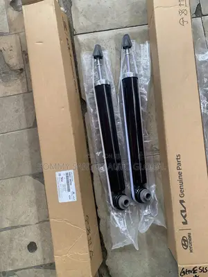 Rear Shock Absorber Kia Quoris 2015
