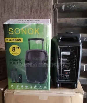 Professional Mobile Rechargeable Pa