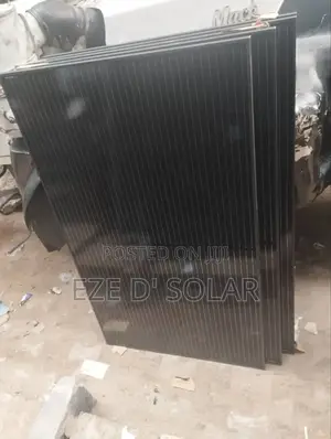 Longi Solar Panel