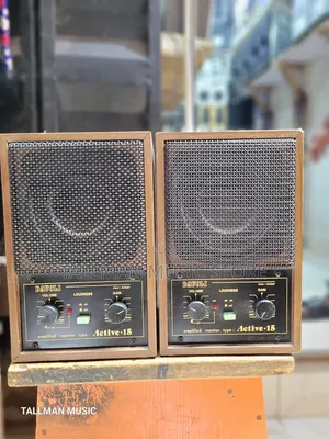 Davoli Active-15 Studio Monitor