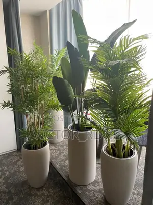 Elegant Flower Pots Available in Bulk